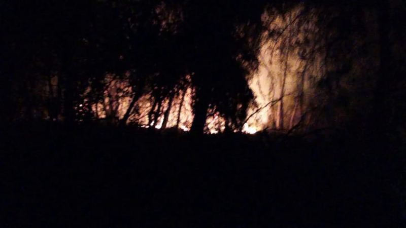 OSMANİYE’DE ORMAN YANGINI BÜYÜMEDEN KONTROL ALTINA ALINDI