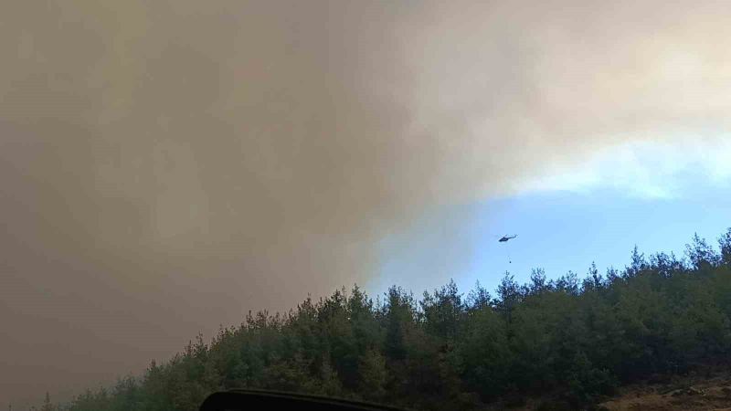 ADANA'NIN KOZAN İLÇESİNDE ÇIKAN ORMAN YANGININA 5 HELİKOPTER, 2 UÇAKLA MÜCADELE SÜRÜYOR. BÖLGEDE 7 EV YANARAK KULLANILAMAZ HALE GELDİ.