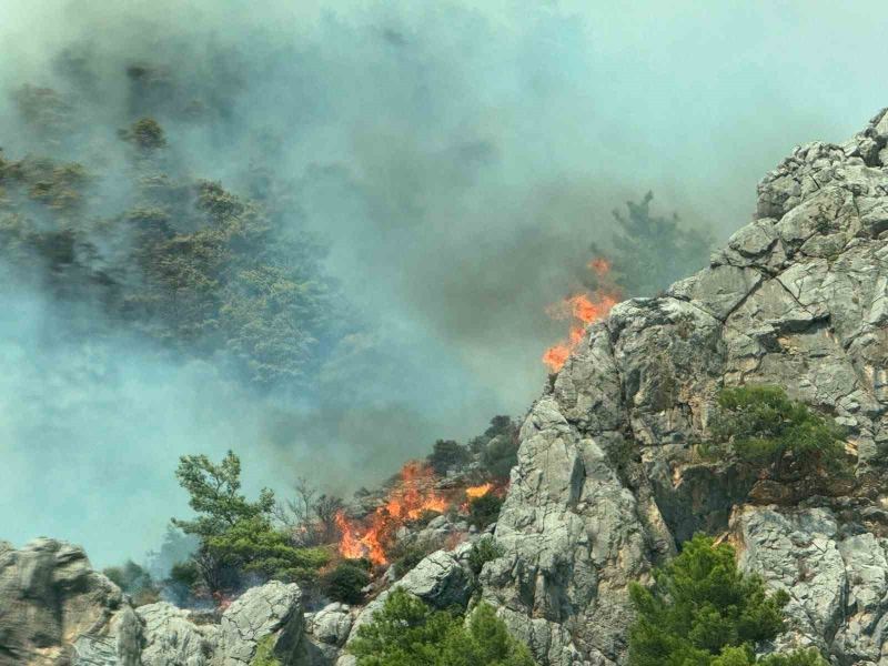 MERSİN'İN BOZYAZI İLÇESİNDE SERALARIN BULUNDUĞU ALANDA BAŞLAYARAK ORMANLIK ALANA YAYILAN YANGINA HAVADAN VE KARADAN MÜDAHALE SÜRÜYOR. BÖLGEDE ETKİLİ OLAN ŞİDDETLİ RÜZGAR, EKİPLERİN ALEVLERİ KONTROL ALTINA ALMA ÇALIŞMALARINI GÜÇLEŞTİRİYOR.