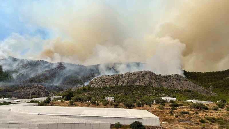 MERSİN'İN BOZYAZI İLÇESİNDE SERALARIN BULUNDUĞU ALANDA BAŞLAYARAK ORMANLIK ALANA YAYILAN YANGINA HAVADAN VE KARADAN MÜDAHALE SÜRÜYOR. BÖLGEDE ETKİLİ OLAN ŞİDDETLİ RÜZGAR, EKİPLERİN ALEVLERİ KONTROL ALTINA ALMA ÇALIŞMALARINI GÜÇLEŞTİRİYOR.