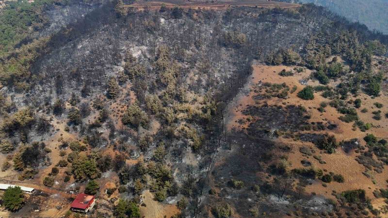 ADANA’NIN KOZAN İLÇESİNDE BAŞLAYIP, İMAMOĞLU VE ALADAĞ İLÇELERİNE SIÇRAYAN ORMAN YANGINI, 3’ÜNCÜ GÜNÜNDE DEVAM EDİYOR.