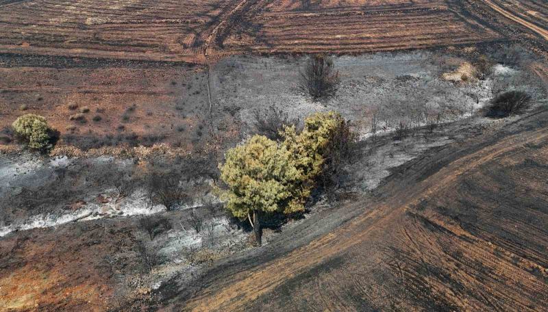 ADANA’NIN KOZAN İLÇESİNDE BAŞLAYIP, İMAMOĞLU VE ALADAĞ İLÇELERİNE SIÇRAYAN ORMAN YANGINI, 3’ÜNCÜ GÜNÜNDE DEVAM EDİYOR.
