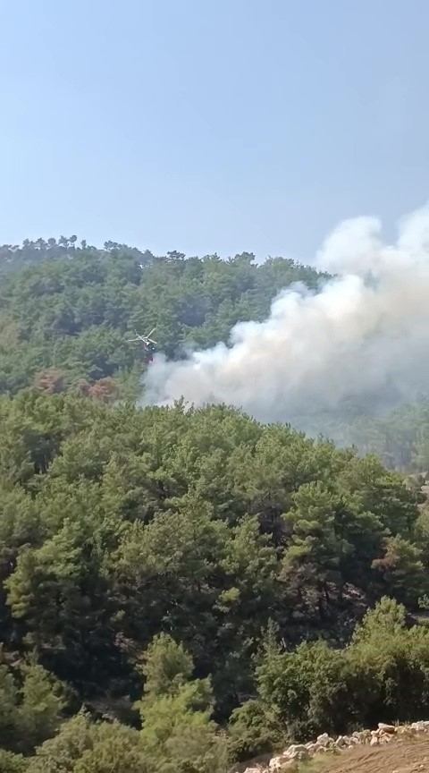 ADANA'NIN KOZAN İLÇESİNDE KONTROL ALTINA ALINIP SOĞUTMA ÇALIŞMALARININ SÜRDÜĞÜ ORMANLIK ALANDA YENİDEN YANGIN ÇIKTI. HAVADAN VE KARADAN MÜDAHALE BAŞLADI.