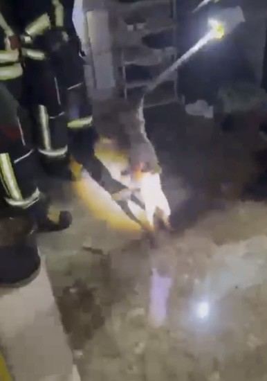 OSMANİYE’DE APARTMANIN 3’ÜNCÜ KATINA ÇIKAN TİLKİ DOĞAYA BIRAKILDI