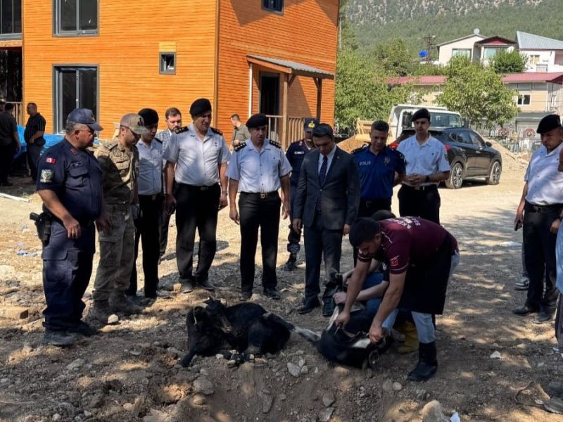 ADANA’NIN POZANTI İLÇESİNE YAPILACAK YENİ JANDARMA KARAKOL KOMUTANLIĞI BİNASININ TEMELİ DÜZENLENEN TÖRENLE ATILDI.