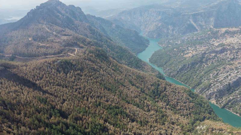 ADANA’NIN KOZAN İLÇESİNDE 8 EYLÜL’DE ENİZÇAKIRI BÖLGESİNDE BAŞLAYARAK İKİ İLÇEYE YAYILAN ORMAN YANGINININ ARDINDAN, EVLERİ ZARAR GÖREN VATANDAŞLARIN YARALARININ SARILMASI İÇİN ÇALIŞMALAR SÜRÜYOR.