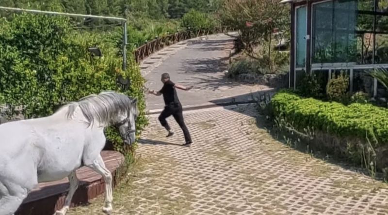 OSMANİYE’DE SOBA KOVASINA SIKIŞAN YAVRU KEDİ KURTARILDI