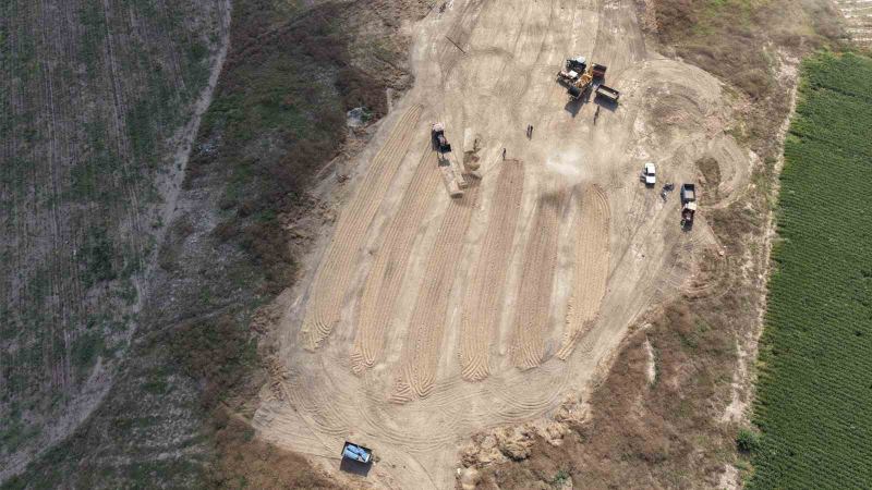 TÜRKİYE'NİN EN ÖNEMLİ YER FISTIĞI ÜRETİM MERKEZİ ADANA'DA HASAT SÜRÜYOR
