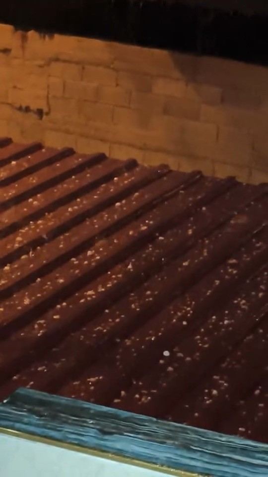 ADANA'NIN MERKEZ YÜREĞİR İLÇESİNE BAĞLI YAKAPINAR MAHALLESİ'NDE GECE SAATLERİNDE ETKİLİ OLAN YUMRUK BÜYÜKLÜĞÜNDEKİ DOLU YAĞIŞI, TARIM ARAZİLERİNE ZARAR VERDİ.