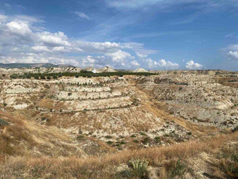 MUT ORMAN İŞLETME MÜDÜRLÜĞÜ SORUMLULUK ALANINDA, ORMAN KÖYLÜLERİNİN KALKINMASINA KATKI SAĞLAMAK AMACIYLA 475 HEKTAR ALANDA 62 BİN ADET ZEYTİN FİDANI TOPRAKLA BULUŞTURULARAK GELİR GETİRİCİ TÜR ZEYTİN AĞAÇLANDIRMASI GERÇEKLEŞTİRİLDİ.