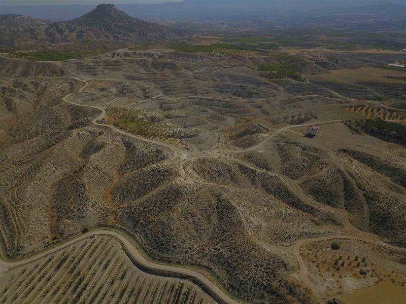 MUT ORMAN İŞLETME MÜDÜRLÜĞÜ SORUMLULUK ALANINDA, ORMAN KÖYLÜLERİNİN KALKINMASINA KATKI SAĞLAMAK AMACIYLA 475 HEKTAR ALANDA 62 BİN ADET ZEYTİN FİDANI TOPRAKLA BULUŞTURULARAK GELİR GETİRİCİ TÜR ZEYTİN AĞAÇLANDIRMASI GERÇEKLEŞTİRİLDİ.