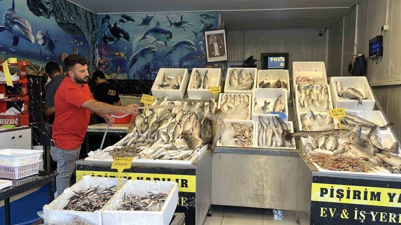 AKDENİZ'DE AV YASAĞININ SONA ERMESİNİN ARDINDAN MERSİN'DE BALIKÇILARIN AĞLARINA TAKILAN ÇEŞİTLİ BALIKLAR TEZGAHLARDAKİ YERİNİ ALDI.