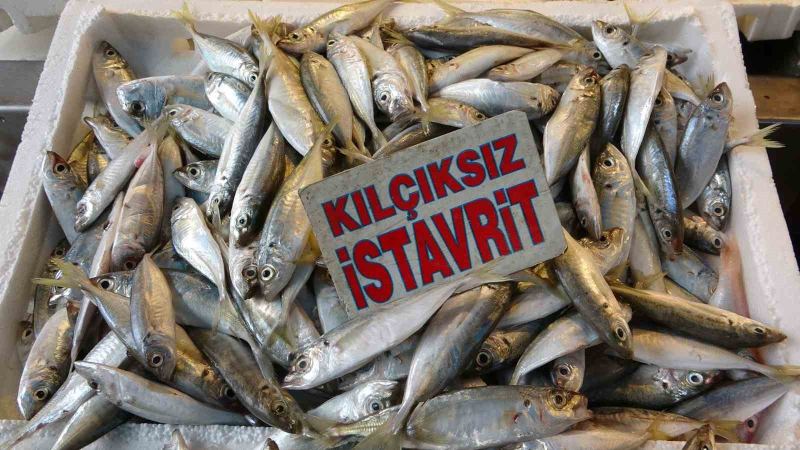 AKDENİZ'DE AV YASAĞININ SONA ERMESİNİN ARDINDAN MERSİN'DE BALIKÇILARIN AĞLARINA TAKILAN ÇEŞİTLİ BALIKLAR TEZGAHLARDAKİ YERİNİ ALDI.