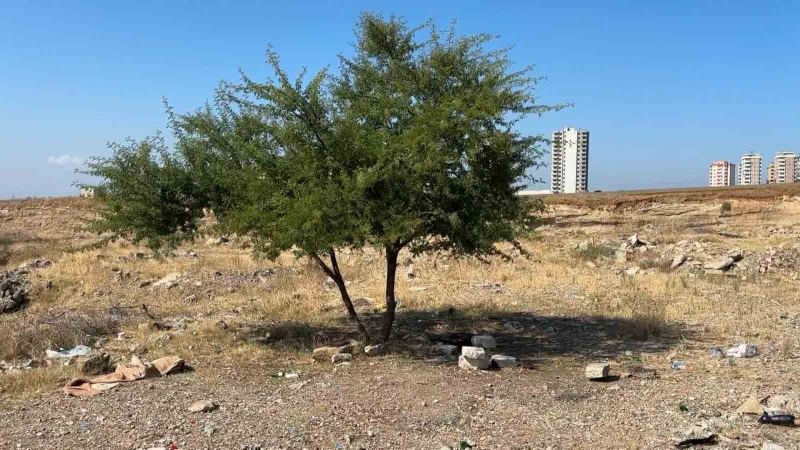 Adana’da genç şahıs boş arazide ölü bulundu
