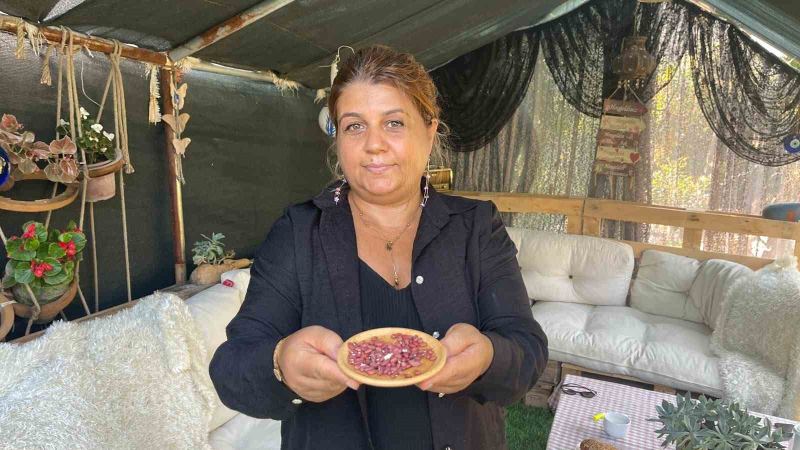 DEMET DEMİR