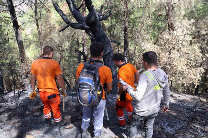 Kozan’da yanan 5 bin 900 hektarlık alanda yeniden yeşil vatan mesaisi başladı: Ağaçlar tek tek damgalanıyor