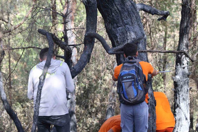 ADANA’NIN KOZAN İLÇESİNDE 8 EYLÜL’DE BAŞLAYIP 3 GÜN SÜREN VE İMAMOĞLU İLÇESİNE DE YAYILAN ORMAN YANGINININ ARDINDAN, YAKLAŞIK 5 BİN 903 HEKTARLIK ALANDA YENİDEN ORMAN OLUŞTURULMASI İÇİN ÇALIŞMALARA BAŞLANDI.
