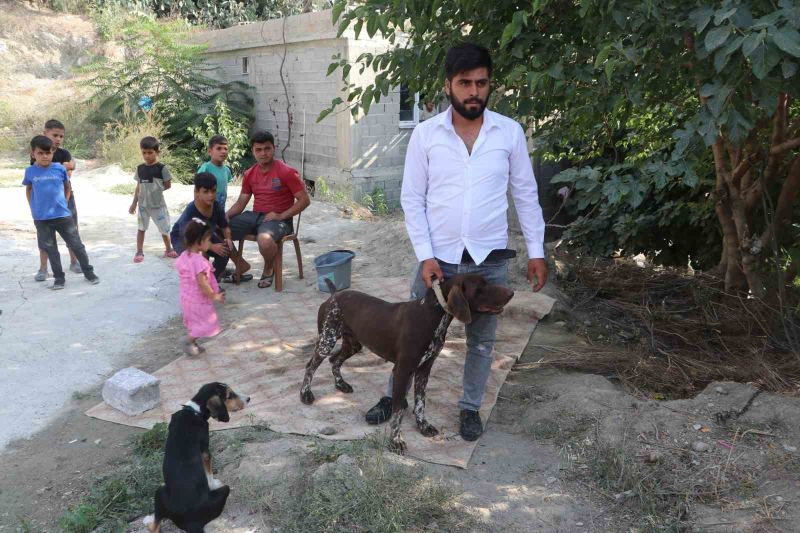 ADANA’DA BİR ÇİFTÇİNİN KÖPEĞİ, KOMŞUSU TARAFINDAN SOPAYLA DARBEDİLDİ. KÖPEĞİN SAHİBİ KOMŞUSUNDAN ŞİKAYETÇİ OLURKEN, OLAY GÜVENLİK KAMERASINA SANİYE SANİYE YANSIDI.