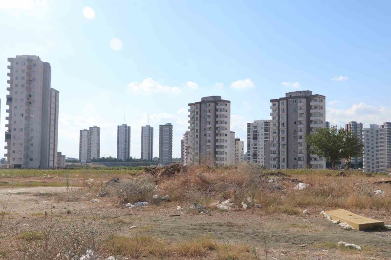 Adana’da cırcır böceği sesleri vatandaşları uyutmuyor
