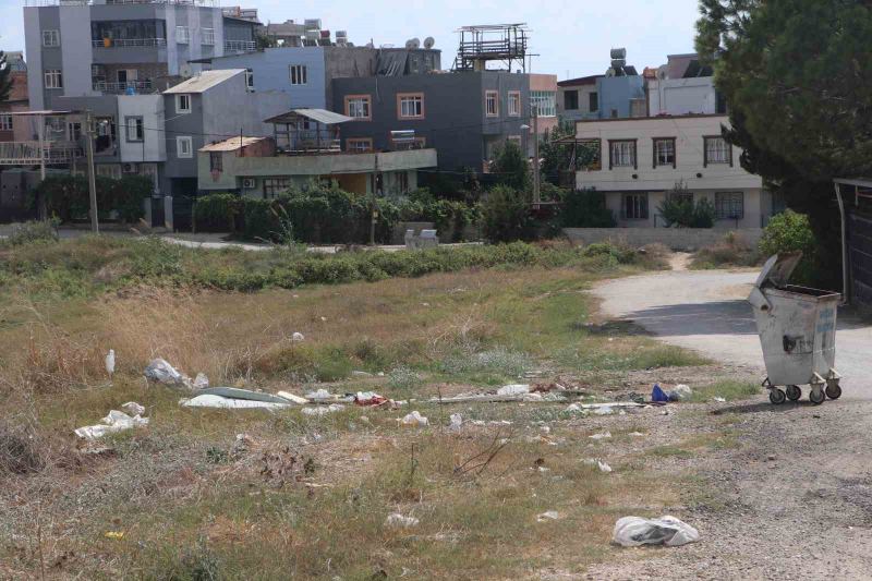 ADANA'DA İKLİM DEĞİŞİKLİĞİ, BAKIMSIZ PARKLAR VE BOŞ ARAZİLER NEDENİYLE POPÜLASYONU ARTAN CIRCIR BÖCEĞİNİN SESLERİ VATANDAŞLARI RAHATSIZ EDİYOR. VATANDAŞLAR, GECE SAATLERİNDE YOĞUNLAŞAN CIRCIR BÖCEĞİ SESLERİ NEDENİYLE UYUYAMADIKLARINI SÖYLEDİ.
