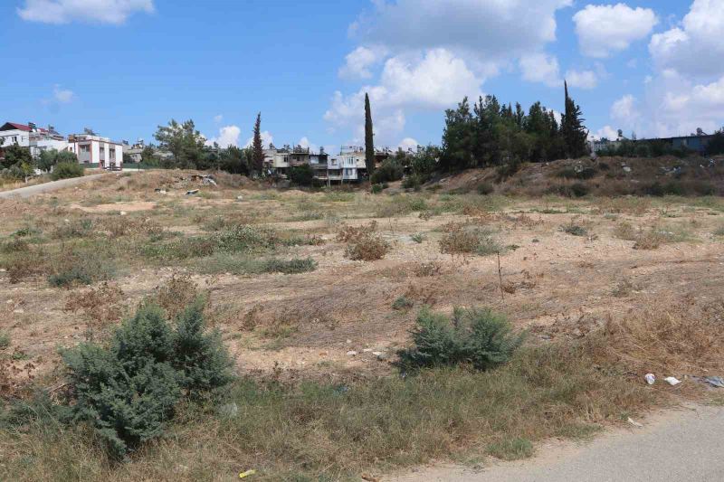 ADANA'DA İKLİM DEĞİŞİKLİĞİ, BAKIMSIZ PARKLAR VE BOŞ ARAZİLER NEDENİYLE POPÜLASYONU ARTAN CIRCIR BÖCEĞİNİN SESLERİ VATANDAŞLARI RAHATSIZ EDİYOR. VATANDAŞLAR, GECE SAATLERİNDE YOĞUNLAŞAN CIRCIR BÖCEĞİ SESLERİ NEDENİYLE UYUYAMADIKLARINI SÖYLEDİ.