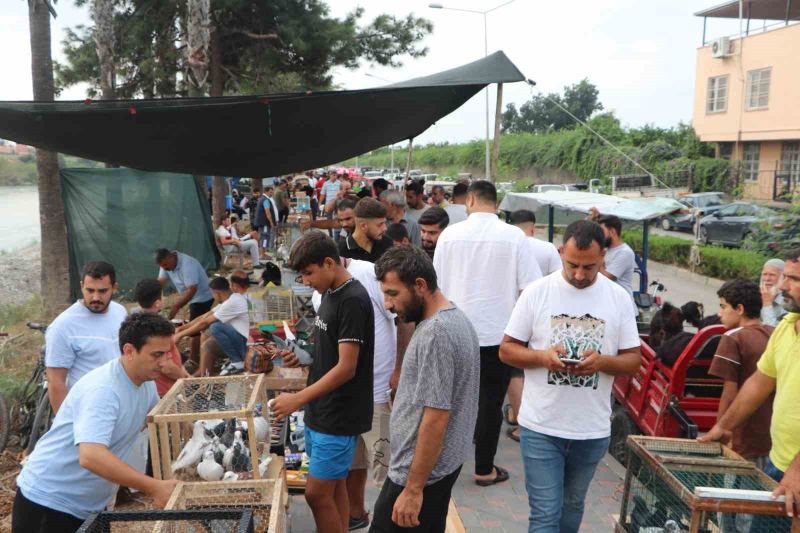 Adana’da kuş meraklıları kuş pazarında buluşuyor