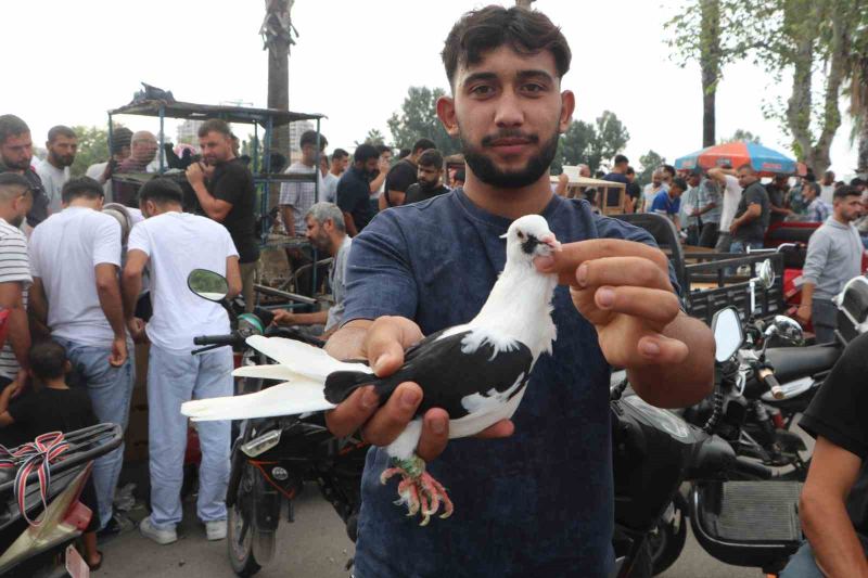 PAZARDA KUŞ SATAN ALİ TEKELİ