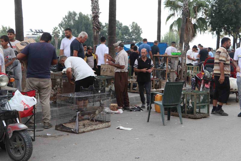 MESTANZADE MAHALLESİ'NDE KURULAN HAYVAN PAZARINDA, ONLARCA TÜRDE KANATLI VE KÜMES HAYVANI SATIŞA SUNULUYOR
