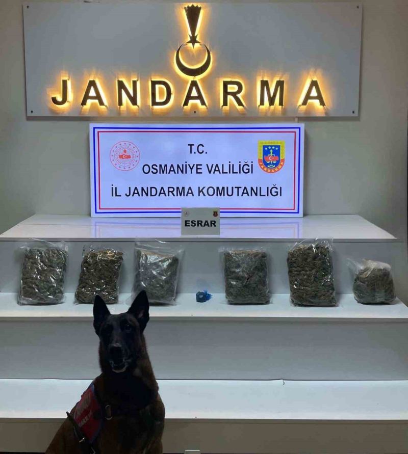 JANDARMA EKİPLERİNİN ZORKUN YAYLASI’NDAKİ BİR EVE DÜZENLEDİĞİ UYUŞTURUCU OPERASYONUNDA 2 KİLO 800 GRAM KUBAR ESRAR ELE GEÇİRİLDİ
