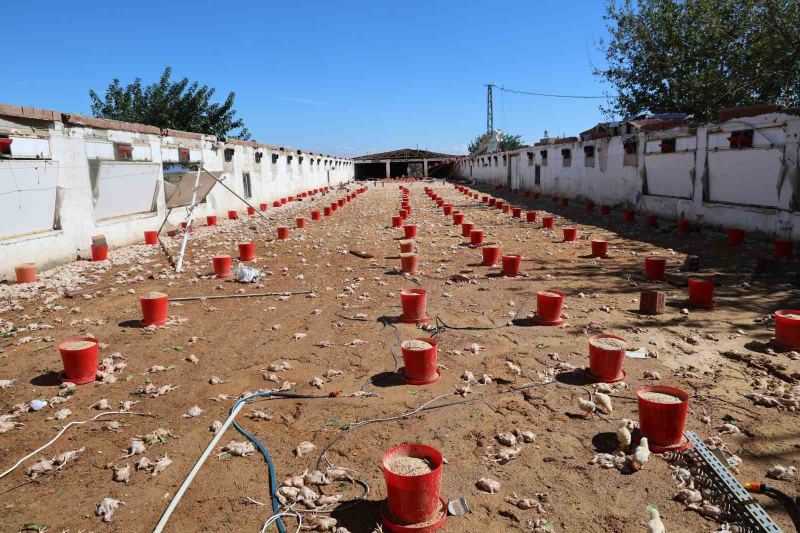 ADANA’NIN İMAMOĞLU İLÇESİNDE DÜN ETKİLİ OLAN SAĞANAK YAĞIŞ VE FIRTINA İLE OLUŞAN SÜPER HÜCRE AĞZIKARACA MAHALLESİ’NDE İKİ ÜRETİM TESİSİNDE BÜYÜK HASARA YOL AÇTI. FIRTINADA TAVUK ÇİFTLİĞİNİN ÇATISI UÇARKEN YAKLAŞIK 20 BİN CİVCİV TELEF OLDU, 2 OTOMOBİL ZARAR GÖRDÜ.