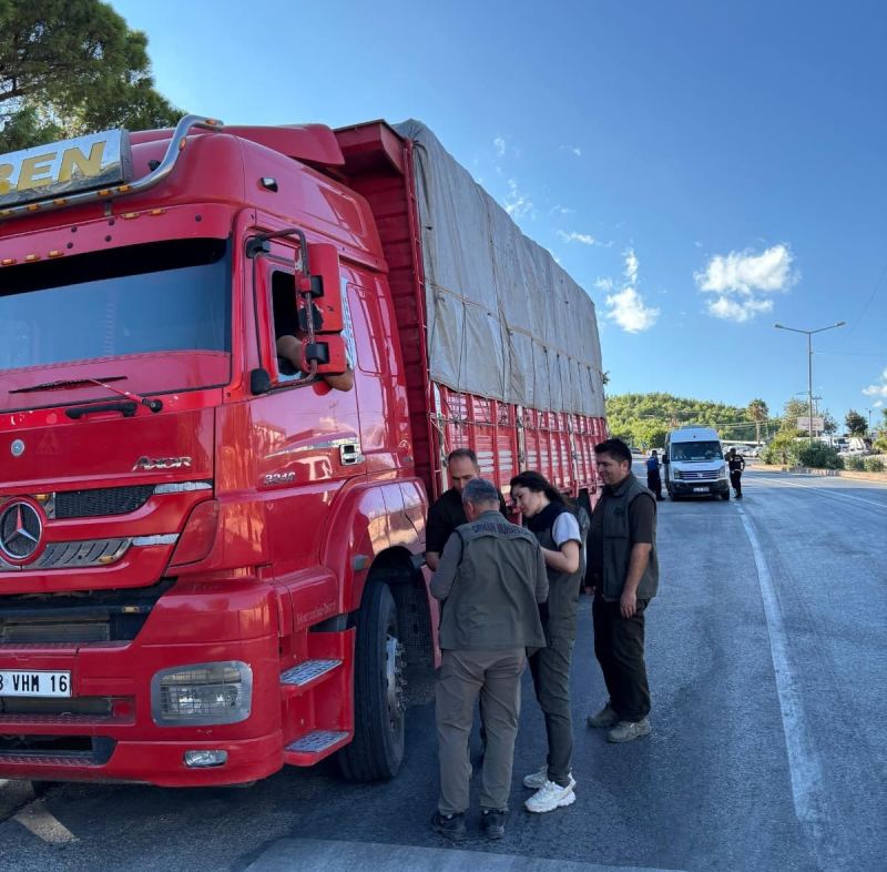 Mersin’de orman suçlarına karşı yol kontrolü