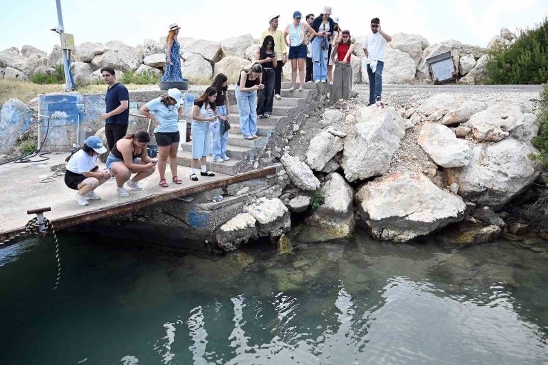 Mersin’de biyolojik çeşitlilik MINKA ile kayıt altına alınıyor
