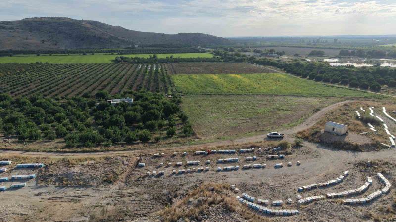ADANA’NIN KOZAN İLÇESİNDE YAŞAYAN 22 YAŞINDAKİ BİTKİ KORUMA BÖLÜMÜ MEZUNU LATİFE GÜL KAPLAN, BABASINDAN ÖĞRENDİĞİ ARICILIĞI MESLEK EDİNEREK DEVLET DESTEĞİ İLE GENÇ YAŞINDA KENDİ İŞİNİN PATRONU OLDU.