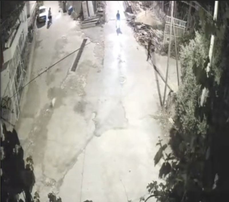 Önce motosikletle kovaladılar sonra köpeği çaldılar