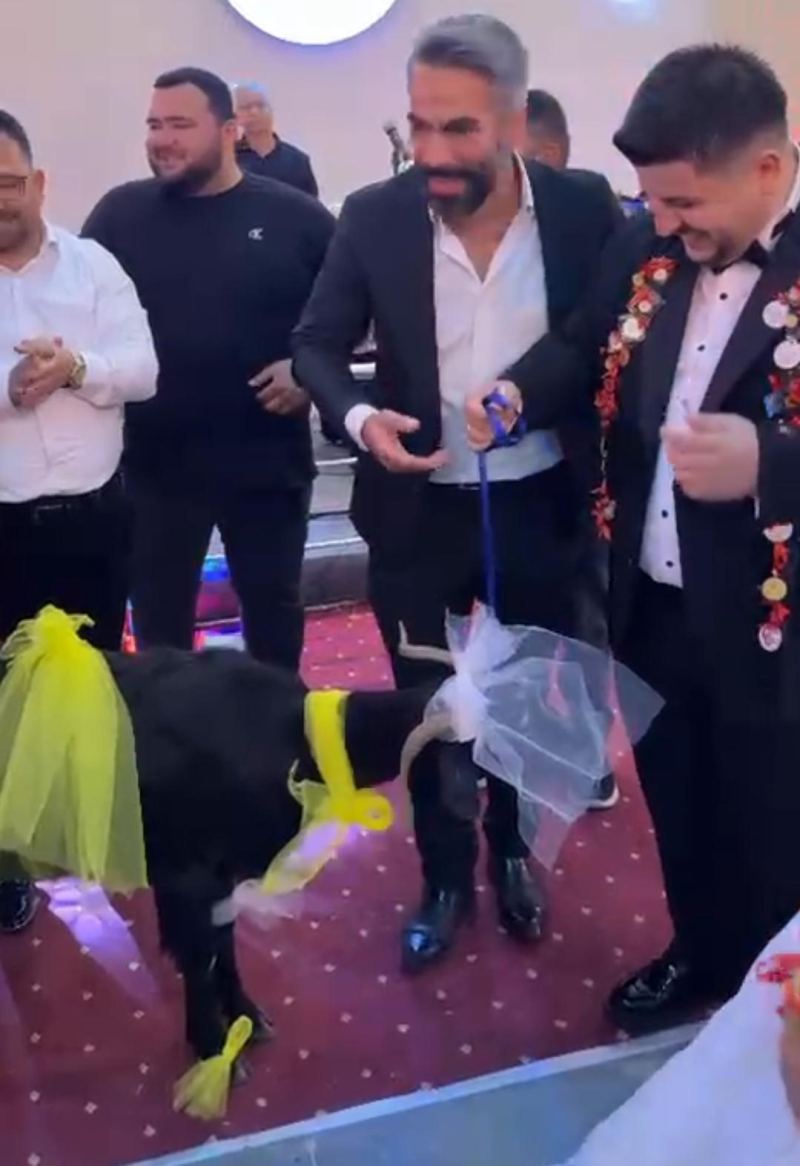 ADANA’NIN KOZAN İLÇESİNDE CENNET KAYADELEN İLE KEMAL KARAKÖSE ÇİFTİNİN DÜĞÜNÜNDE, DAMADIN KEBAP VE MANGAL SEVGİSİ SIRA DIŞI BİR DÜĞÜN HEDİYESİNE DÖNÜŞTÜ. DAMADIN 25 YILLIK ARKADAŞI MADEN MÜHENDİSİ İLYAS BEYDİLLİ, SÜSLEDİĞİ KEÇİYİ TAKI MERASİMİ SIRASINDA SALONA GETİREREK ÇİFTE HEDİYE ETTİ. KEÇİYİ KARŞISINDA GÖREN GELİN VE DAMAT ŞAŞKINLIK YAŞARKEN, DAVETLİLER İSE CEP TELEFONLARINA SARILDI.