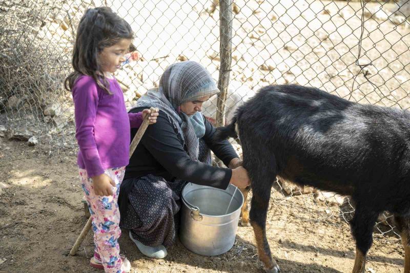 MERSİN BÜYÜKŞEHİR BELEDİYESİ, ELEKTRİK ALTYAPISININ SINIRLI OLDUĞU KIRSAL BÖLGELERDE ÜRETİM YAPAN KONARGÖÇER KÜÇÜKBAŞ HAYVAN YETİŞTİRİCİLERİ İLE GEZİCİ ARICILARA GÜNEŞ PANELİ DESTEĞİ SAĞLIYOR.