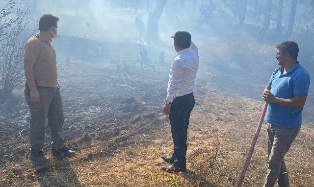 Adana'da çıkan orman yangını büyümeden kontrol altına alındı