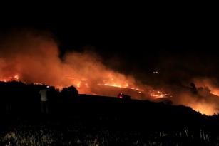 Ağaçlık alana sıçrayan anız yangını kontrol altına alındı