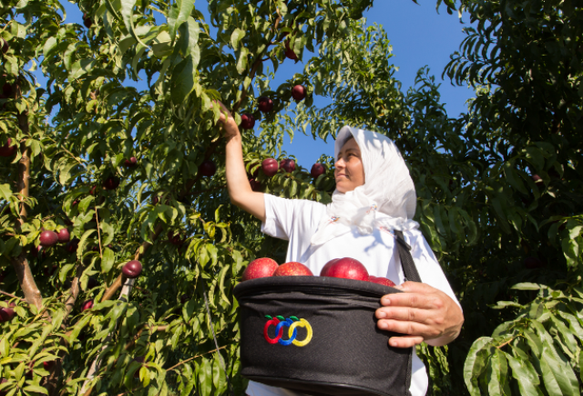 Anadolu Etap “EBRD Sürdürülebilirlik Ödülleri”nde “Altın” ödüle layık görüldü