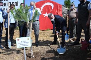 251 KAHRAMAN ANISINA 251 FİDAN DİKİLDİ