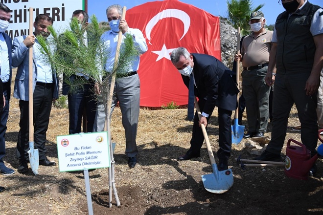 251 KAHRAMAN ANISINA 251 FİDAN DİKİLDİ