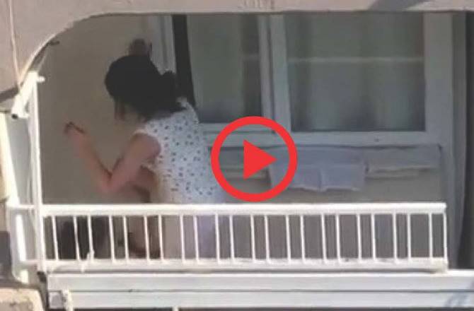 Hayvana eziyete bin 33 lira para cezası