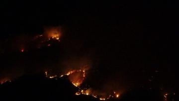 ORMAN YANGIYLA İLGİLİ KRİZ MASASI OLUŞTURULDU