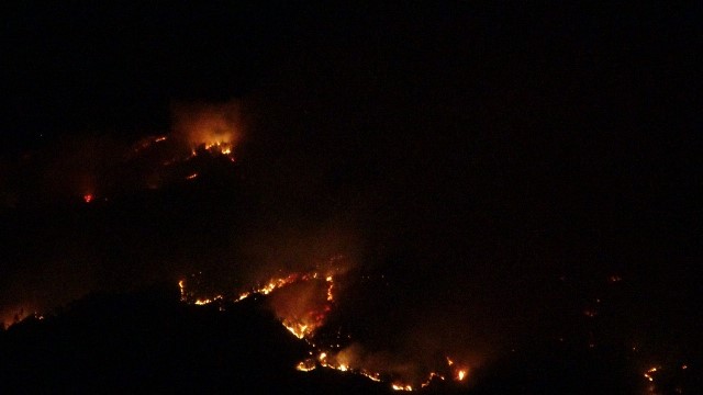 ORMAN YANGIYLA İLGİLİ KRİZ MASASI OLUŞTURULDU