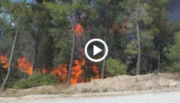 SARIÇAM VE KOZAN’DA ORMAN YANGINI