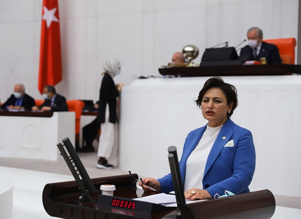 Boğulma olayları meclis gündeminde