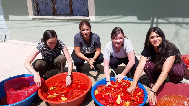 YABANCI TURİSTLER SALÇA YAPIP KİLİM DOKUDU