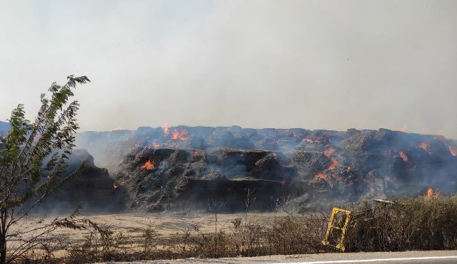 30 bin ton mısır silajı balyasının bulunduğu depoda yangın çıktı