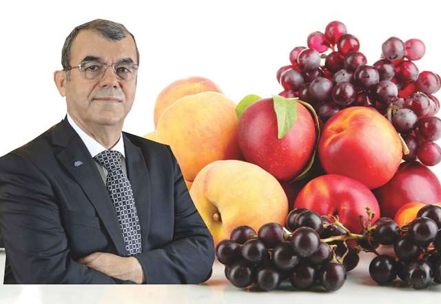 YAŞ MEYVE SEBZE İHARACATINDA YUNANİSTAN REKORU