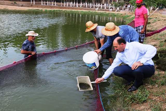 Göl ve göletlere yavru balık takviyesi Adana’dan
